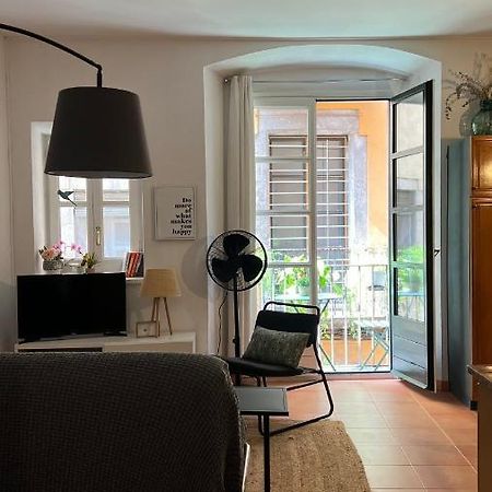Apartamento Con Encanto Y Terraza En Barri Vell De Girona, El Cul De La Lleona ภายนอก รูปภาพ