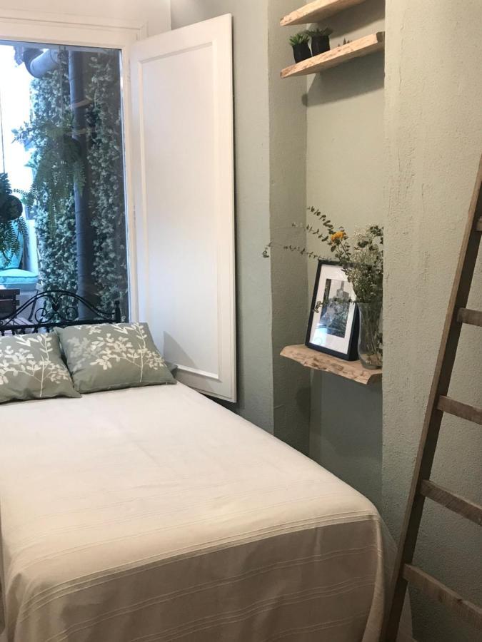 Apartamento Con Encanto Y Terraza En Barri Vell De Girona, El Cul De La Lleona ภายนอก รูปภาพ