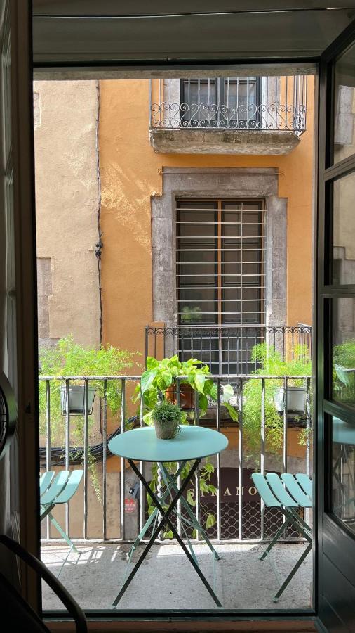 Apartamento Con Encanto Y Terraza En Barri Vell De Girona, El Cul De La Lleona Apartment ภายนอก รูปภาพ