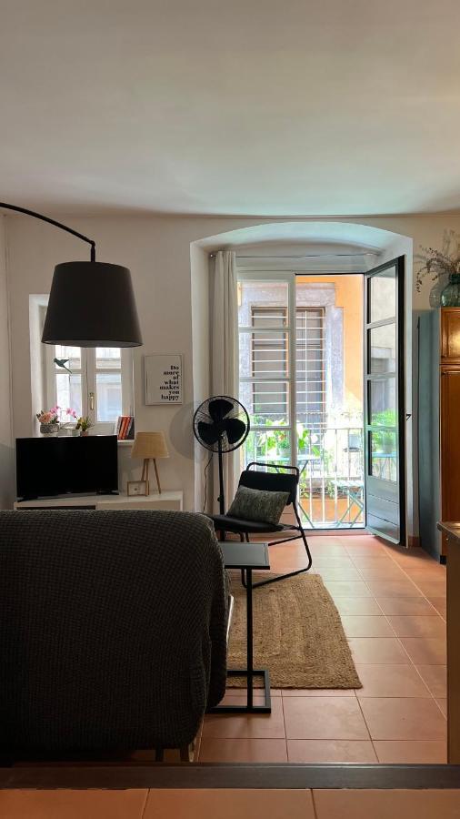 Apartamento Con Encanto Y Terraza En Barri Vell De Girona, El Cul De La Lleona ภายนอก รูปภาพ