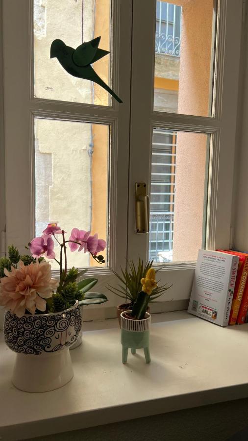 Apartamento Con Encanto Y Terraza En Barri Vell De Girona, El Cul De La Lleona ภายนอก รูปภาพ