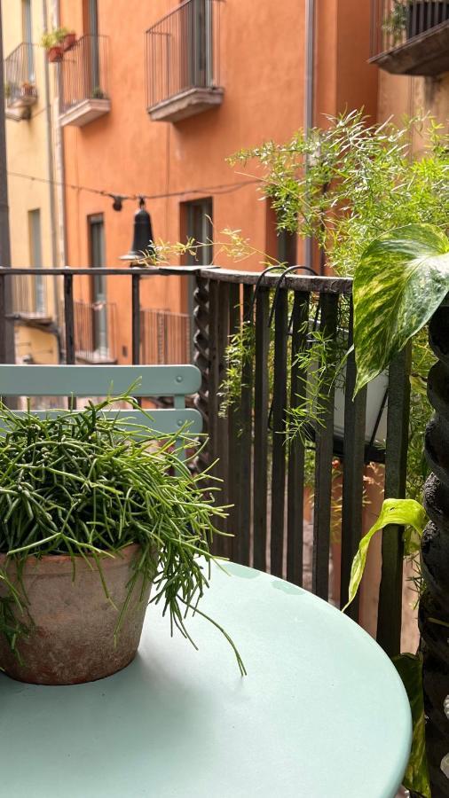 Apartamento Con Encanto Y Terraza En Barri Vell De Girona, El Cul De La Lleona ภายนอก รูปภาพ