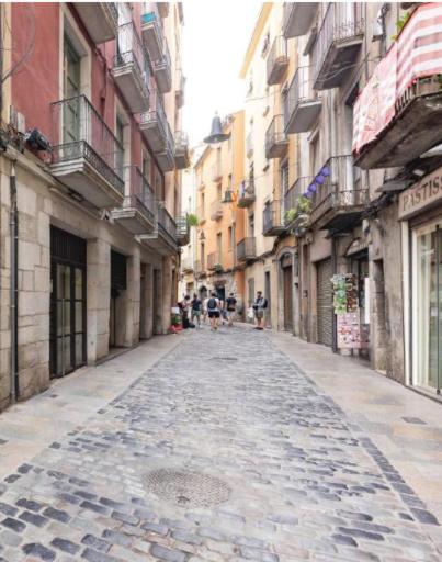 Apartamento Con Encanto Y Terraza En Barri Vell De Girona, El Cul De La Lleona Apartment ภายนอก รูปภาพ